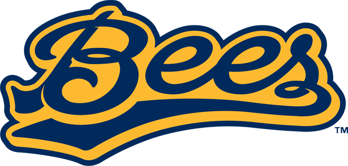 Burlington Bees 2007-Pres Wordmark Logo iron on heat transfer